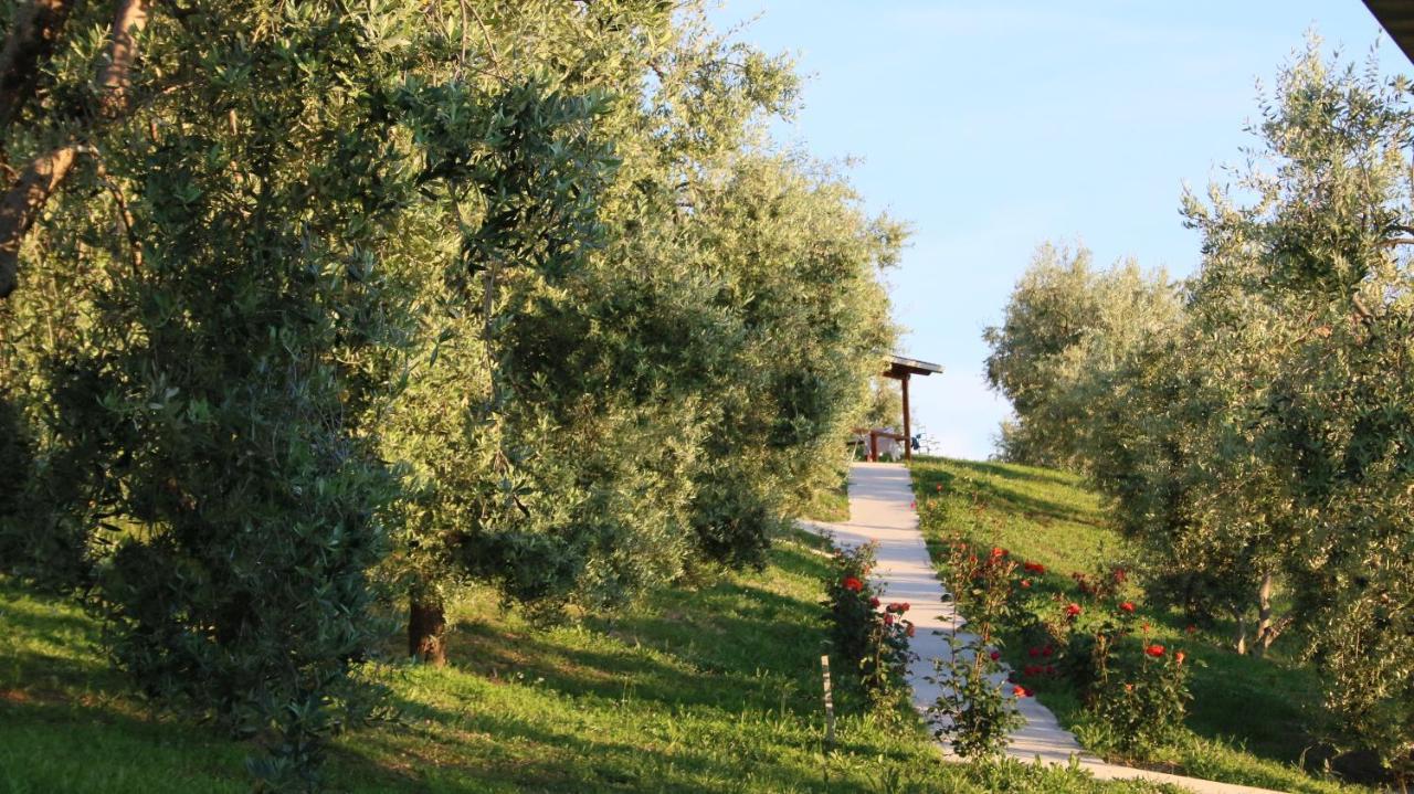 Agroturizem Bylis Hotel Hekal Kültér fotó