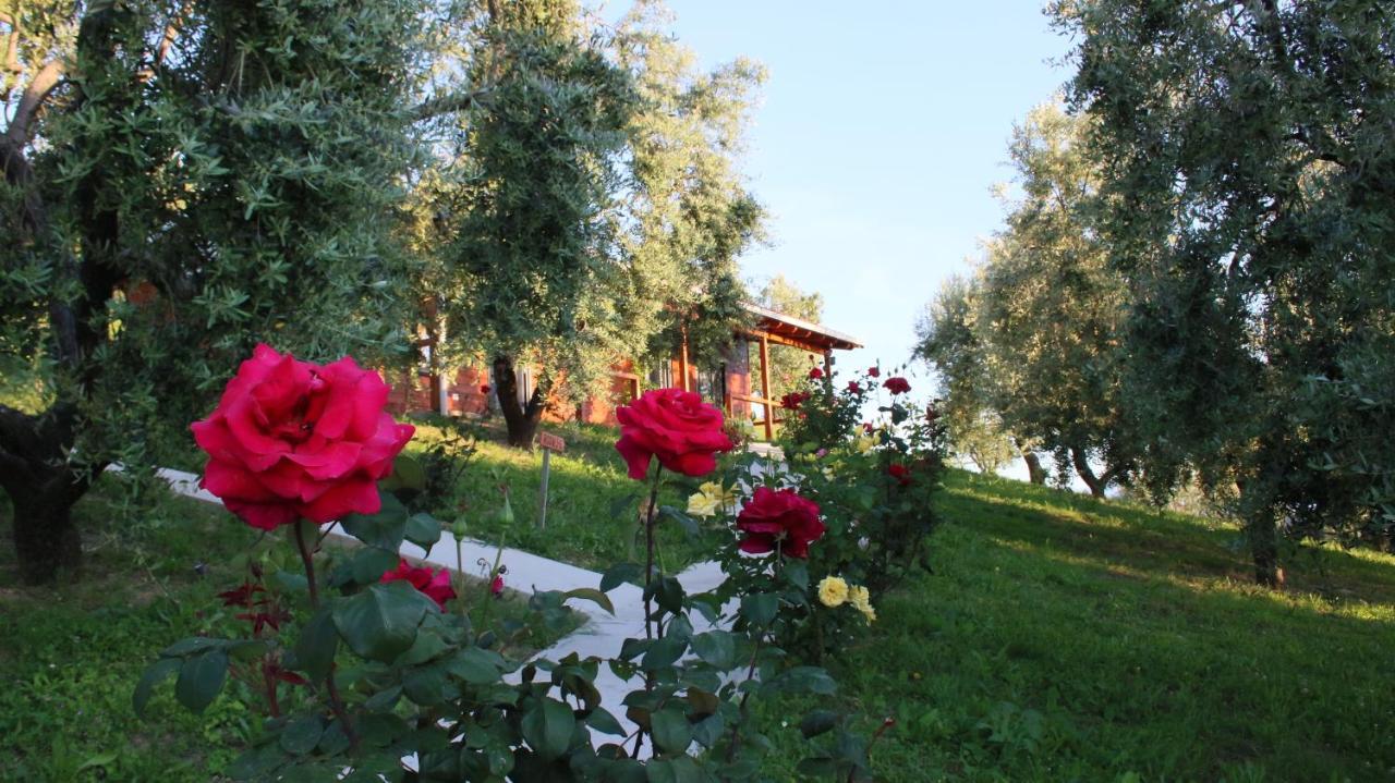 Agroturizem Bylis Hotel Hekal Kültér fotó