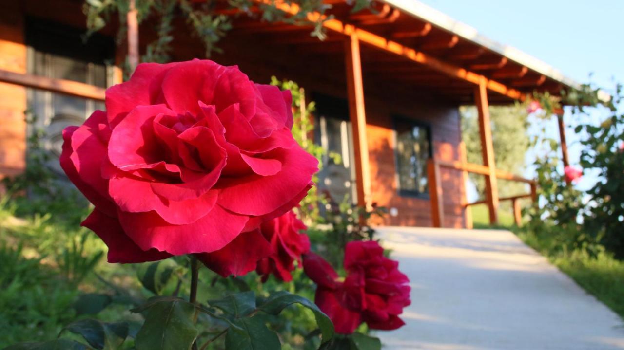 Agroturizem Bylis Hotel Hekal Kültér fotó