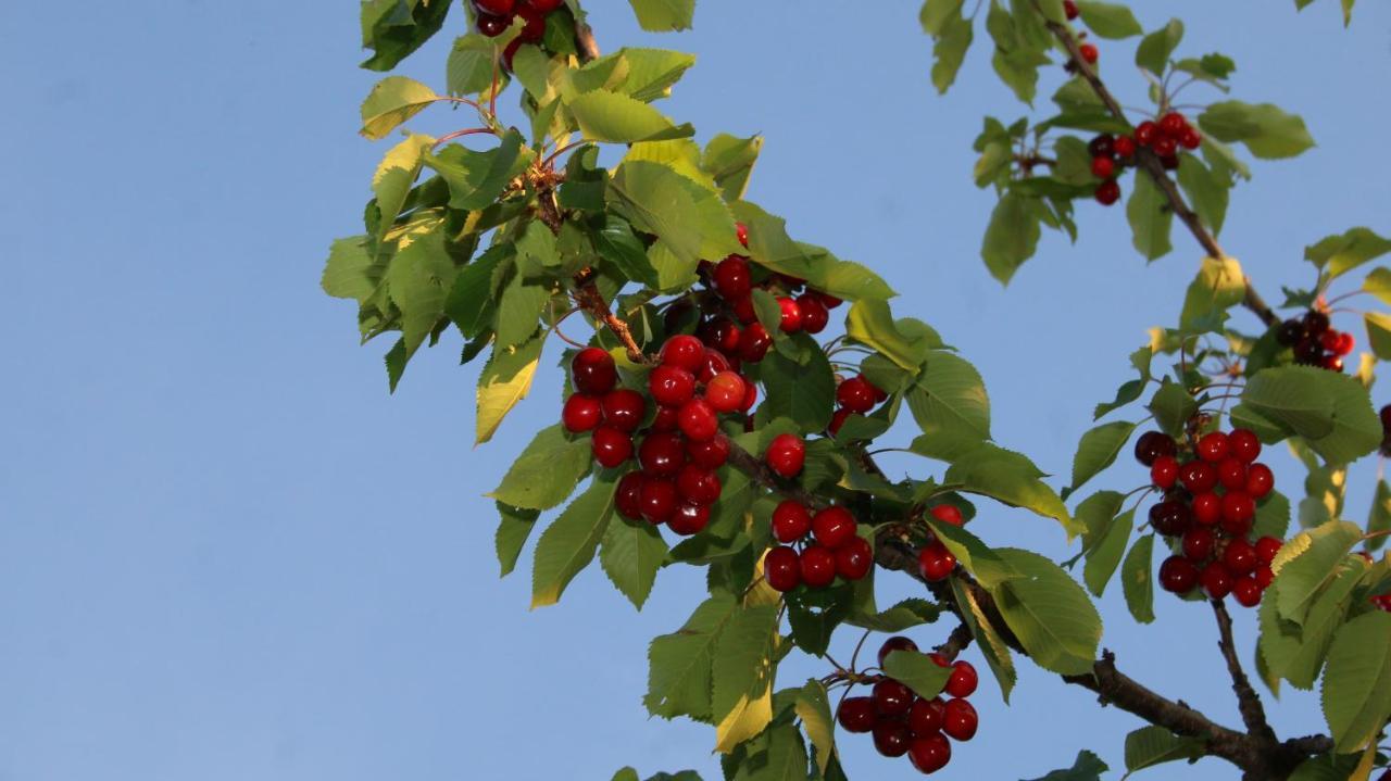 Agroturizem Bylis Hotel Hekal Kültér fotó