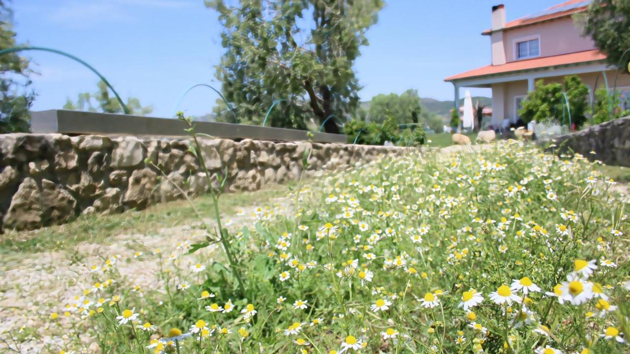 Agroturizem Bylis Hotel Hekal Kültér fotó