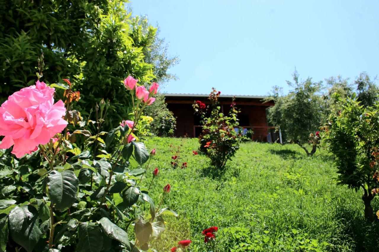 Agroturizem Bylis Hotel Hekal Kültér fotó